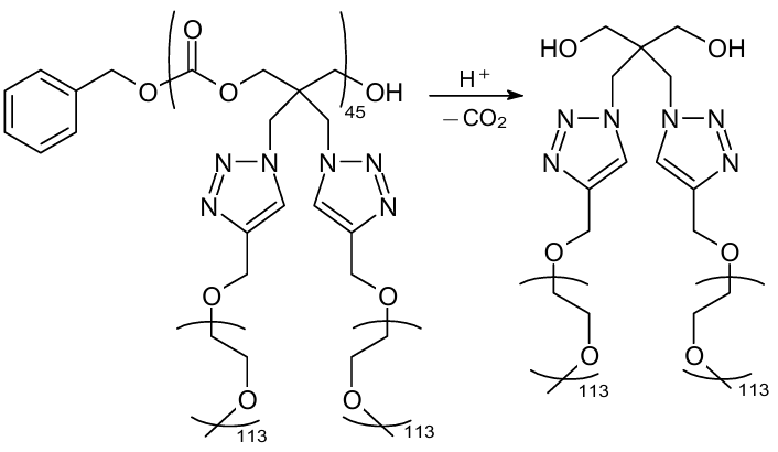 Schematic view of the acid hydrolysis of PI-graft-PEG molecular brushes.26