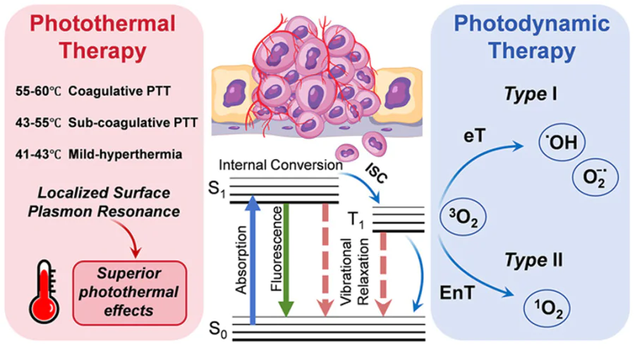 The antitumour mechanism of PDT and PTT of nanomaterials. ISC is intersystem crossing; eT is electron transfer; EnT is energy transfer.