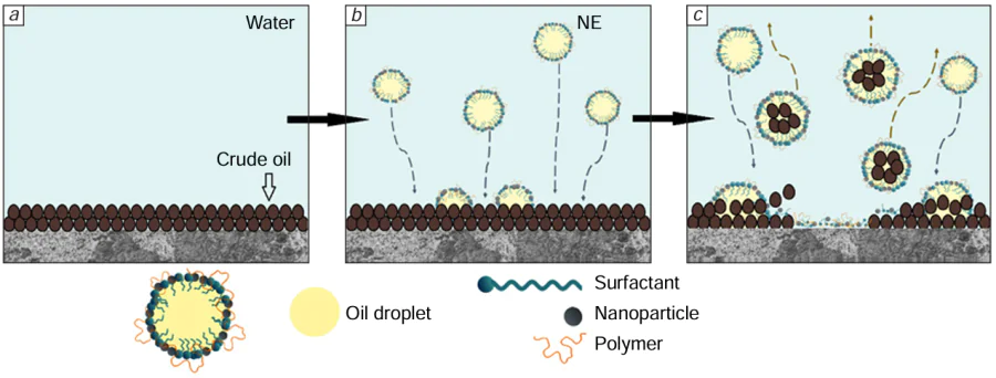 Mechanism of action of nanoemulsions on the rock wettability: (а) oil-saturated state; (b) nanoemulsion (NE) as O/W phase injected into the reservoir; interaction between nanoemulsion droplets and crude oil deposited on the rock surface; (c) displacement of crude oil by emulsifier molecules and oil sweeping by the nanoemulsion.58
