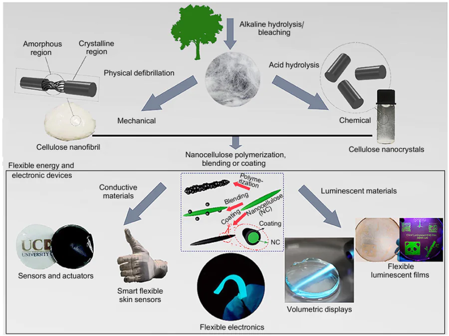 Surface functionalization of CNC and CNF for application in flexible energy and electronic materials.242 Published in accordance with the Creative Commons Attribution license CC BY 4.0