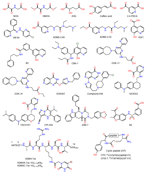 JmjC-KDM inhibitors