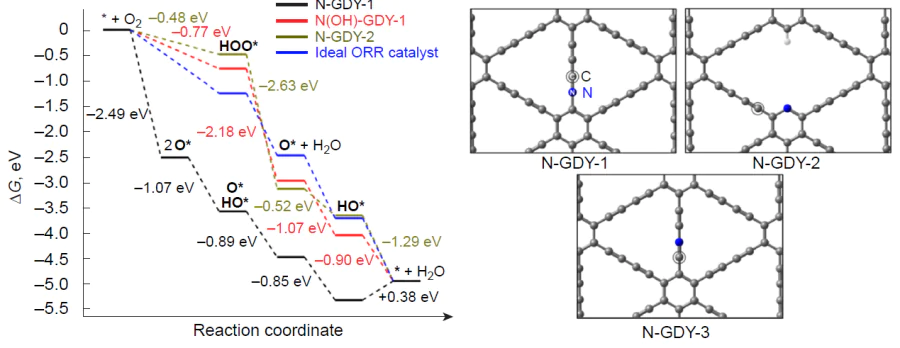 Free energy profiles for ORR on active sites of model nitrogen-doped graphdiynes.68