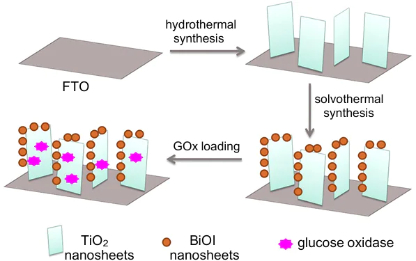 Scheme of fabrication of an electrode based on TiO2/BiOI/GOx nanosheets. The Figure was created by the authors using published data.238