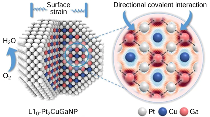 L10 – Pt2CuGa nanoparticles with Pt – Ga covalent atomic interaction as PEMFC catalysts.160