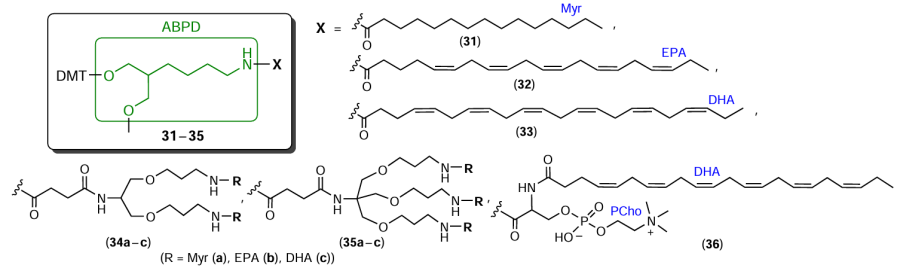 Structures of lab-made modifiers 31 – 36 based on 2-(4-aminobutyl)propane-1,3-diol