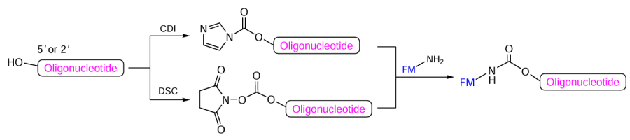 Synthetic routes to 5'- and 2'-conjugates of oligonucleotides via activation of the 5'- or 2'-hydroxyl group in the protected immobilized oligonucleotide