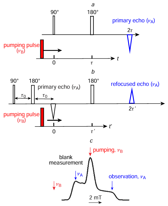 Timing diagram of pulse sequences for (a) three- and (b) four-pulse experiments in DEER. In the first case, the primary echo signal is measured, in the second, the refocused echo is measured. (c) The EPR spectrum in integral form for a nitroxide biradical with the positions of the observation and pump pulses along the field indicated, including the case of a ‘blank’ measurement in the three-pulse case (see text).