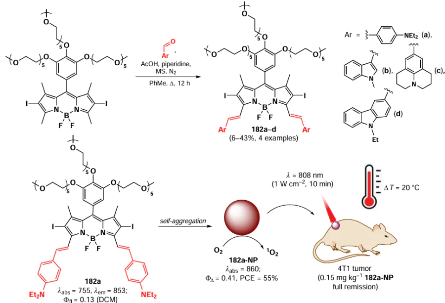 Schematic of the synthesis of BODIPY 182 and the therapeutic effects of 182a-NP nanoparticles in vivo. The figure created by the authors based on the data of the publication250.