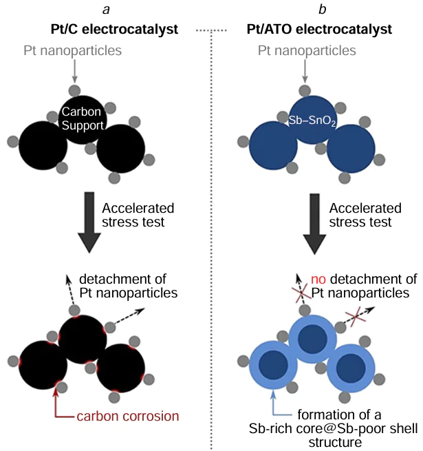 Effect of AST on the Pt/C (a) and Pt/ATO (b) catalyst.121