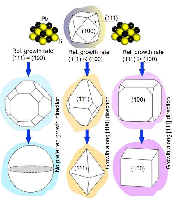 Possible ways of PbS nanocrystal growth: Thermodynamically controlled isotropic growth of spherical nanocrystals with minimum surface energy at high Pb2+ concentration (on the left); kinetically controlled anisotropic growth of octahedral nanocrystals, with the surface formed by (111) facets, at low Pb2+ concentration (in the middle); kinetically controlled anisotropic growth of cubic nanocrystals, with the surface formed by (100) facets, at low concentration of both Pb2+ and S2– ions (on the right)[30].