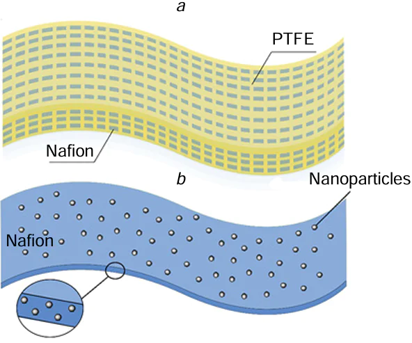 Schematic picture of membrane stabilization: (a) reinforcement, (b) filling. PTFE is polytetrafluoroethylene.