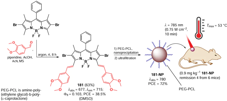 Schematic of the synthesis of 181-NP nanoparticles with PTT activity and their therapeutic effects in vivo. The figure created by the authors based on the data of the publication240.