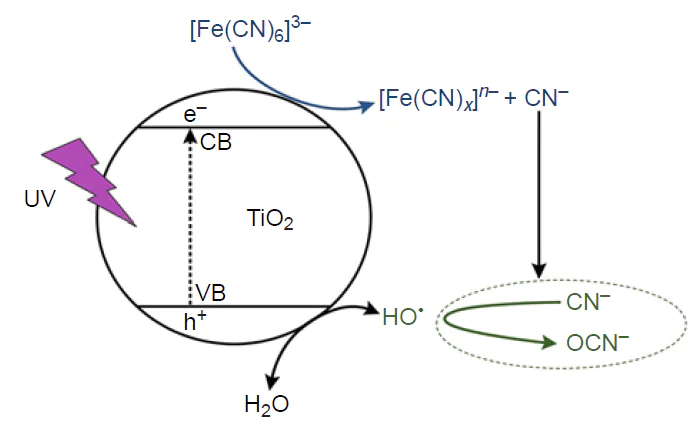 Possible mechanisms for the [Fe(CN)6]3− photocatalytic degradation in the absence of sacrificial agents.93 Copyright belongs to the Royal Society of Chemistry, license CC BY 4.0. CB is conduction band, VB is valence band.