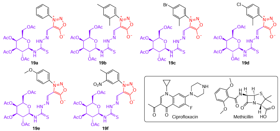 Structures of thiosemicarbazones 19 with the most pronounced antibacterial action and active ingredients of commercial drugs (drawn in the box).17