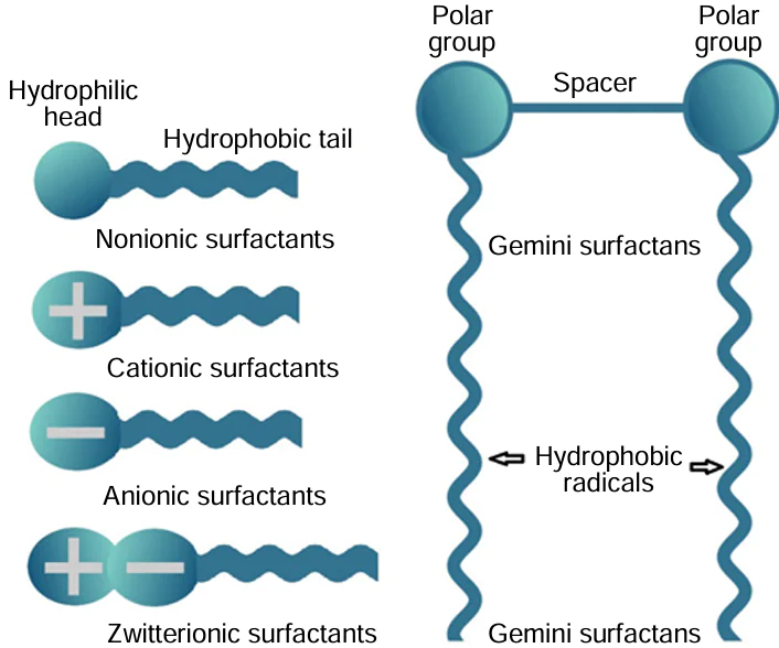 Schematic picture of various types of surfactants and structure of dimeric (gemini) surfactants. In reality, there are also surfactants with two or more hydrocarbon tails; the Figure depicts a simplified classification to provide basic understanding of surfactant structures and action mechanisms.