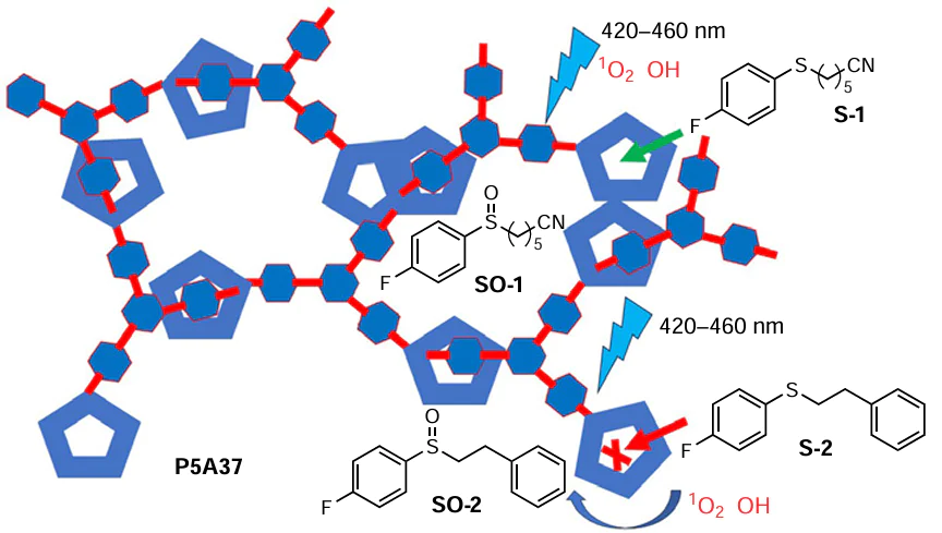 Formation of P5A37 and the illustration of its use for the singlet oxygen generation in the chemoselective oxidation of sulfides