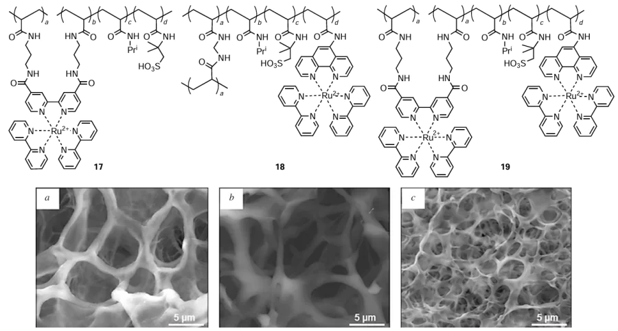 Chemical structures and SEM images of the polymer matrices of gels 17 (а), 18 (b), and 19 (c).94