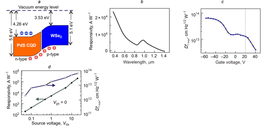 Properties of the phototransistor Si/SiO2/WSe2/PbS CQDs: (a) energy diagram of the n-PbS/p-WSe2 contact; (b) spectral dependence of the responsivity at the drain–source voltage Vds = 1 V and gate voltage Vgs = 0; (c) dependence of D* on Vgs (Vds = 1 V, λ = 0.97 µm); (d) dependence of the specific detectivity D* and responsivity on Vds (Vgs = 0)[234].