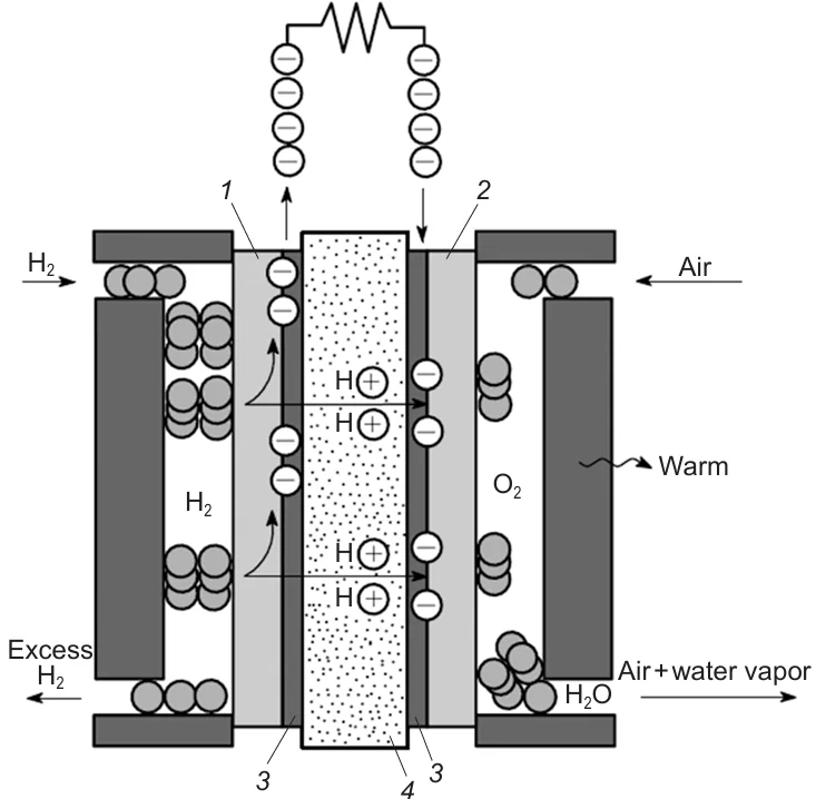 Scheme of PEMFC. (1, 2) Gas diffusion layers, (3) catalyst layer, (4) proton exchange membrane.10