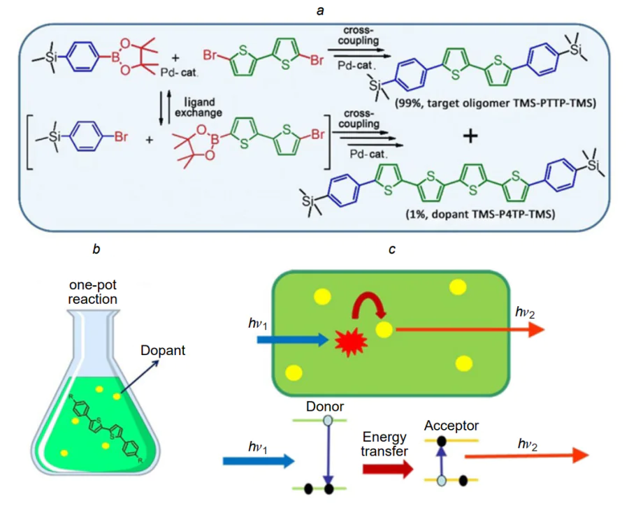 The process of molecular self-doping in the oligomer synthesis by the Suzuki reaction (a), occurring in a one-pot mode (b), and the scheme of electron excitation energy transfer from the tar- get oligomer (donor) to the dopant oligomer (acceptor) in a single crystal (c).