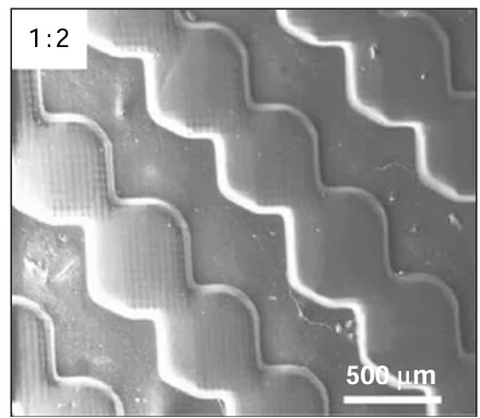 Micrograph of a patterned membrane.90 © American Chemical Society, 2019.