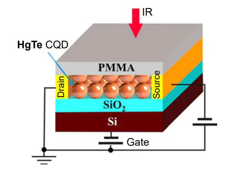 Field-effect transistor (Si)/SiO2/HgTe CQDs/PMMA[222].