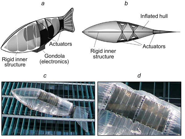 DEA-driven biomimetic airship: (a, b) schematics of the configuration of the airship, the points, at which linear DEAs are attached, are indicated; (c) the airship in the flight; (d) multisegment linear DEAs on the hull.251 Reproduced with the permission of IOP Publishing