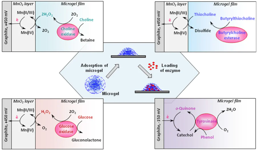 Methods of surface modification exploited for fabrication of microgel-based biosensors (in the middle) and the principles of operation of biosensor systems using choline oxidase, butyrylcholinesterase, glucose oxidase, and tyrosinase for analysis of choline, butyrylthiocholine, glucose, and phenol, respectively (on the sides).