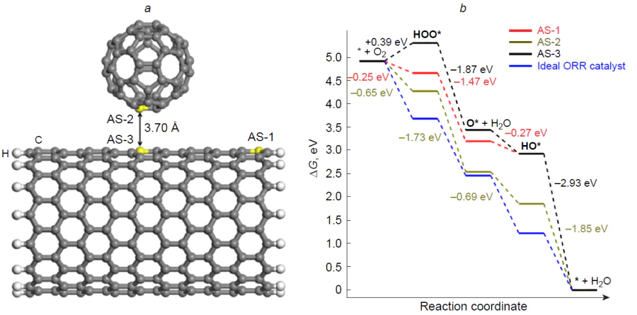 Structure of the complex of C60 fullerene with (15,0)-zigzag carbon nanotube (a) and free energy profiles for 4e ORR pathway on some carbon atoms (b).111 Copyright Elsevier.