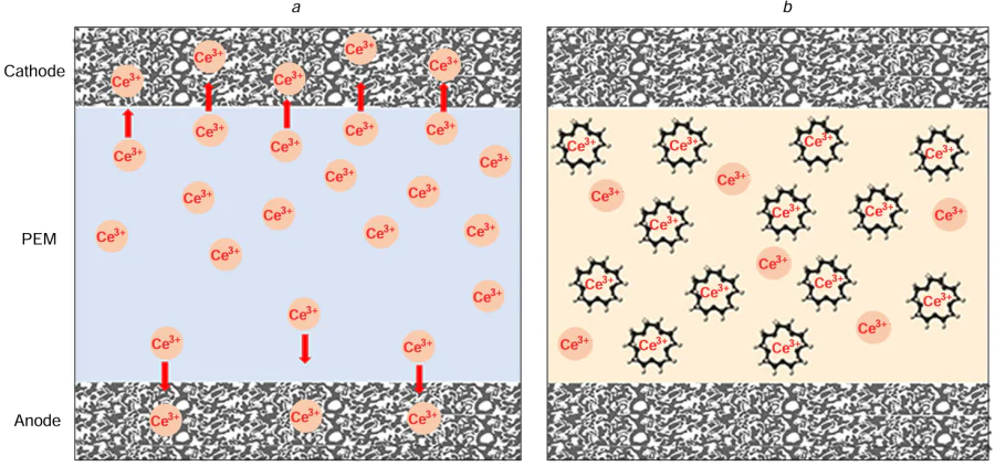 Schematic view of cerium ion migration (a) and cerium immobilization as crown-ether complexes (b).41