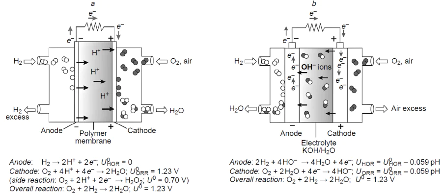 Schematic diagram of a proton exchange membrane hydrogen fuel cell (on the left) and alkaline fuel cell (on the right). The acronyms are expanded in the text.