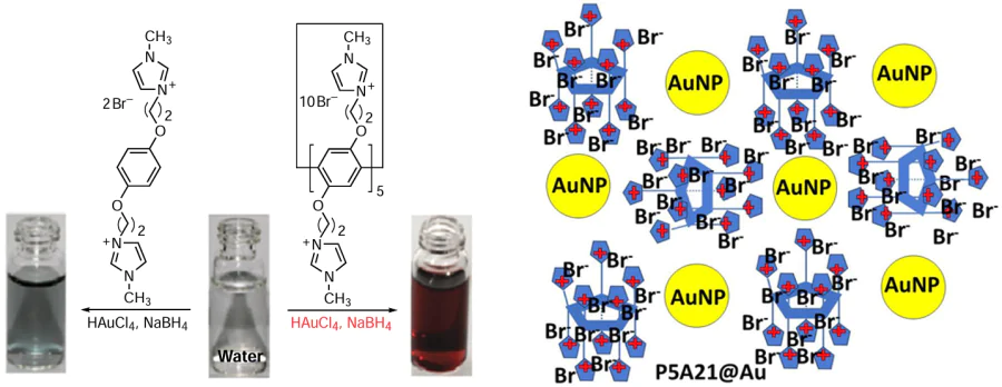 Scheme for the stabilization of the Au NPs with pillararene P5A21 and its linear analogue and their appearance of the Au solutions.18