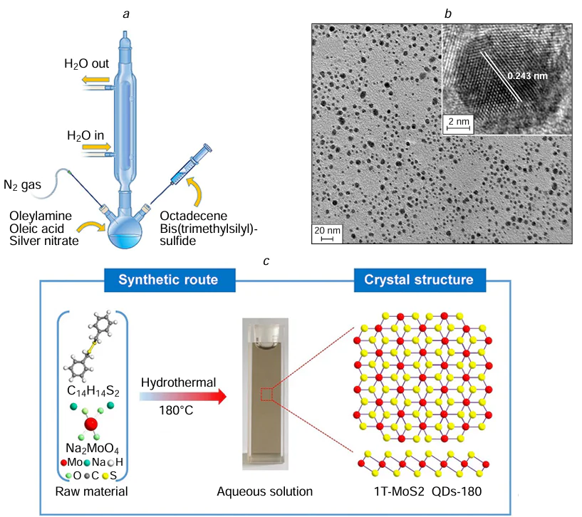 (a) Schematic illustration of the synthesis of Ag2S CQDs and (b) transmission electron microscope image. The inset shows high resolution transmission electron microscopy image of a single crystal QD with a size of about 5 nm. Reproduced from Öberg et al.152 with permission from Wiley. (c) Schematic process route for the hydrothermal synthesis of 1T-MoS2 QDs-180. Reproduced from Li et al.,154 copyright (2019) Elsevier.