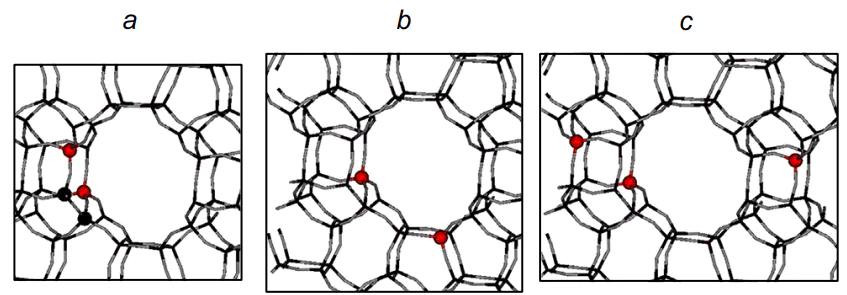 Schematic images of the types of distribution of aluminium cations (highlighted in red) on the channel surface.150 For a-c, see text. Published with permission from John Wiley &amp; Sons.