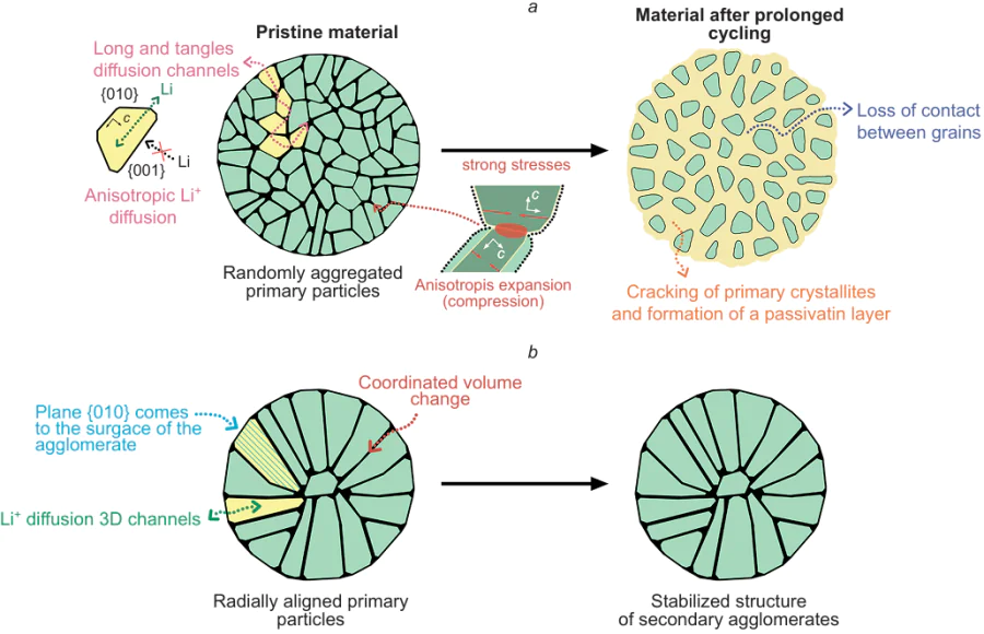 Microstructures of Ni-rich NMC agglomerates with random orientation of isotropic particles (a) and with radial orientation of rod-like particles (b) and their evolution during electrochemical cycling. The figure was created by the authors of the review on the basis of the data of Ref. 234.