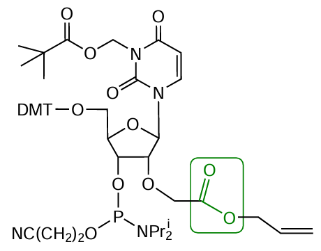 Structure of lab-made 2'-carboxyl-modified uridine-phosphoramidite with allyl protecting group