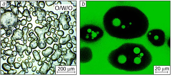 Images of Janus-SiO2-stabilized multiple Pickering emulsions recorded 72 h after the preparation at 25°C (nanoparticle concentration of 5000 mg L–1): (а) optical microscopy, (b) confocal laser scanning microscopy.136 Copyright belongs to Elsevier.