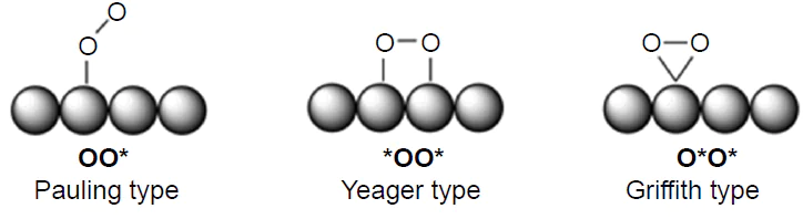 Possible structures of O2* adsorbates.