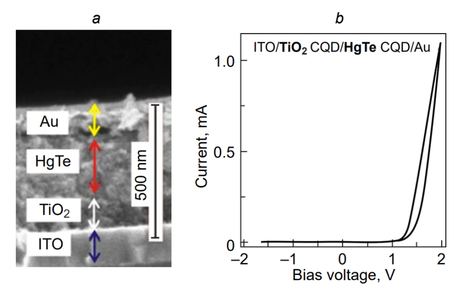 Schottky barrier photodiode with the glass/ITO/TiO2 CQDs/HgTe CQDs/Au structure (a) SEM image of the structure cross-section; (b) photodiode CVC[186].