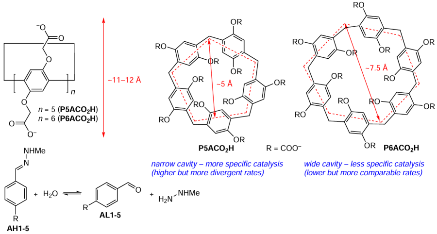 Pillararene-based carboxylates for the hydrolysis of arylhydrazones