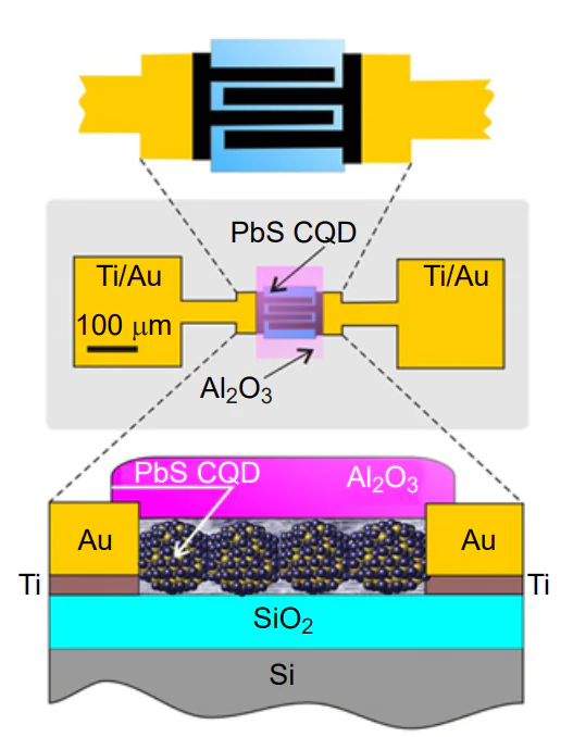 Photoresistive structure based on PbS CQDs with interdigitated finger electrodes. The Figure was created by the authors using published data[156].