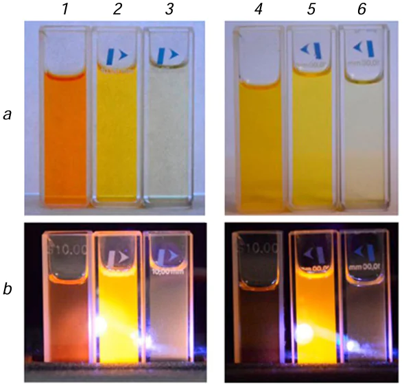 Photographs of the fluorescence of compounds 182 in MeCN (1 – 3) and in MeCN containing DNT (4 – 6) under daylight (a) and after light irradiation at λex = 376 nm (b). Reproduced from Verbitsky et al.76 with permission from the Royal Society of Chemistry.