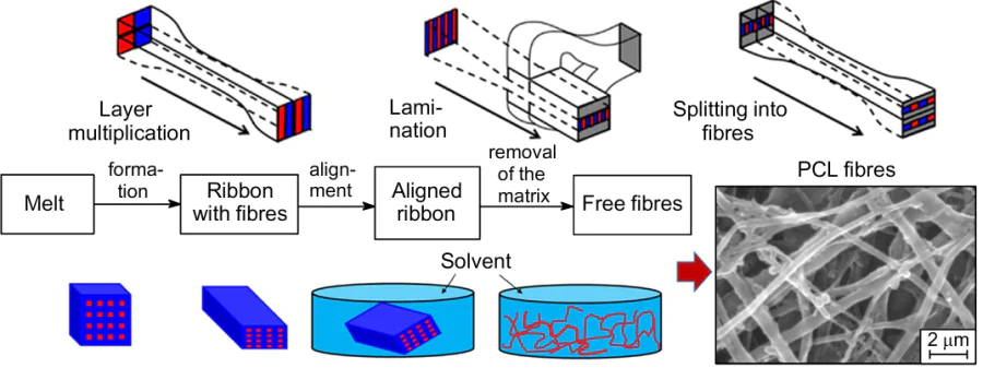 Schematics of the production of PCL nanofibres.48 Reproduced with the permission of Elsevier.