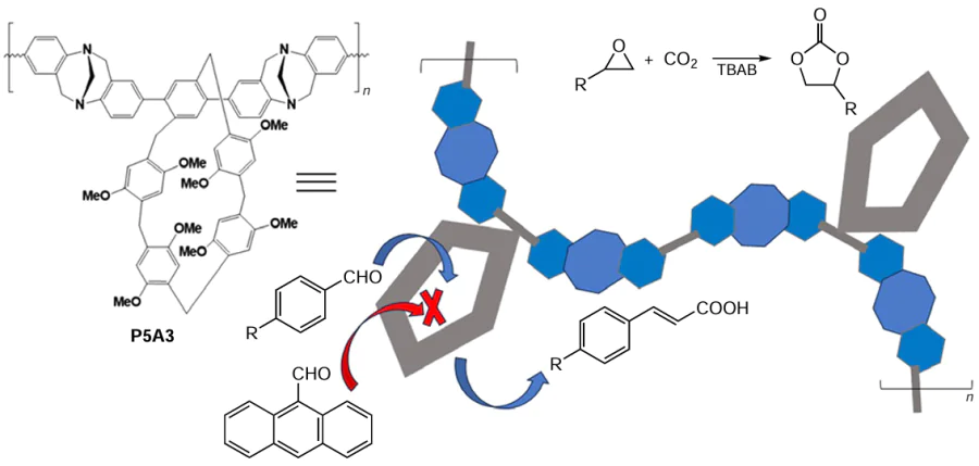  Pillar[5]arene-based polymer P5A3 as a metal-free heterogenous catalyst for the Knovenagel condensation and CO2 conversion