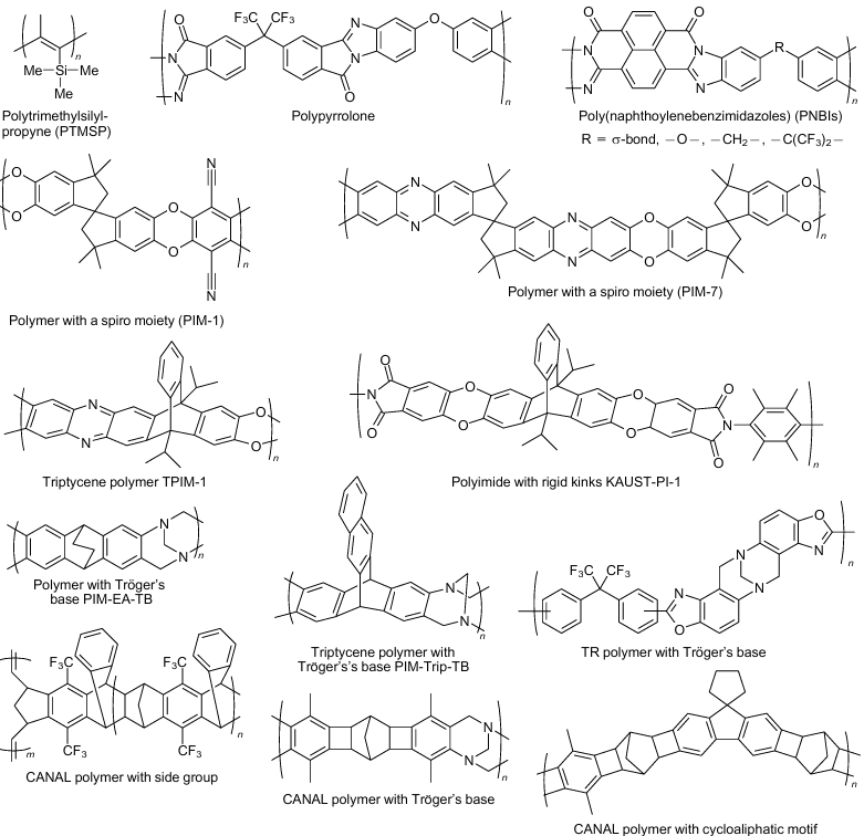  Synthetic polymers considered in the review.