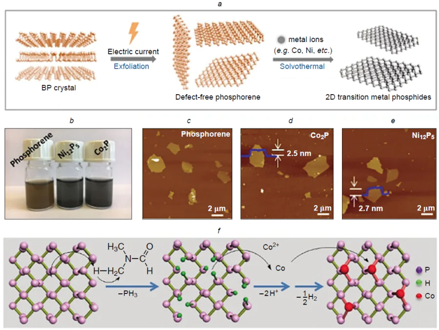 Synthesis of 2D transition metal phosphides (a); optical images of 2D phosphide suspensions in DMF (0.2 mg mL−1) (b); AFM images of phosphorene (c), Ni12P5 (d) and Co2P (e); reaction pathway for the synthesis of 2D Co2P by the solvothermal method (f). The Figure was created by the authors based on data of Ref. 138 and reproduced under a CC BY license from Wiley.