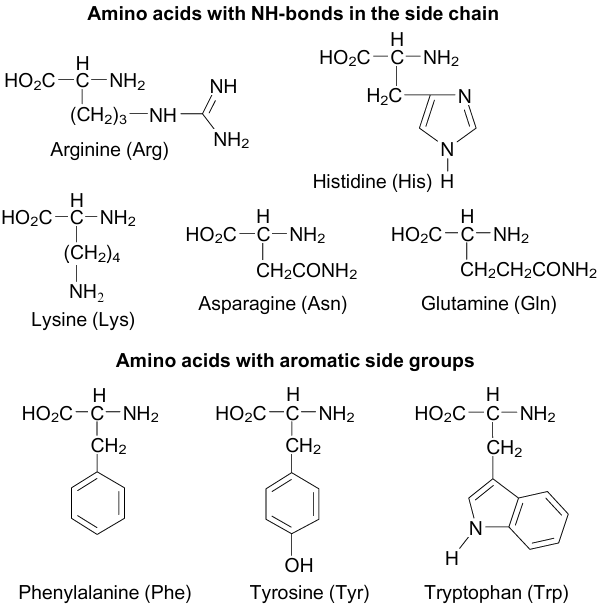 Amino acids most often involved in NH...π and stacking interactions.