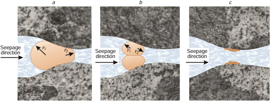 Basic diagram of emulsion plugging of pore channels: (a) one large droplet, (b) a few droplets, (c) ultrafine emulsion droplets.45