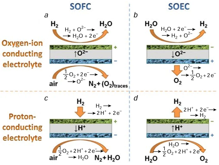 Working principles of SOCs with oxygen ion (a, b) and proton-conducting (c, d) electrolytes