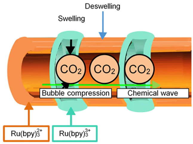 Principles of operation of tubular gel 35 for peristaltic transport. Orange colour corresponds to the gel containing Ru(bpy)32+ and green colour corresponds to the gel with Ru(bpy)33+. In the Ru(bpy)33+ zone, the gel swelling is accompanied by a decrease in the inner diameter of the gel, which leads to compression and movement of the carbon dioxide bubble.